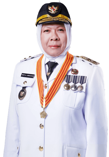 Wakil Gubernur